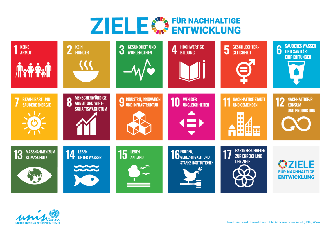 SDG Poster